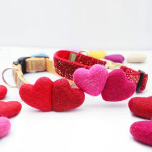 valentines hearts dog collar