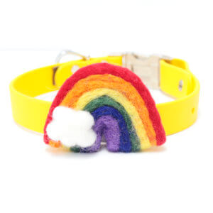Bold rainbow dog collar accessory