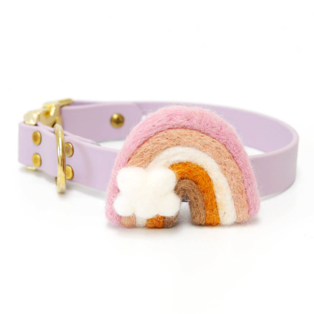 Pastel rainbow dog collar accessory