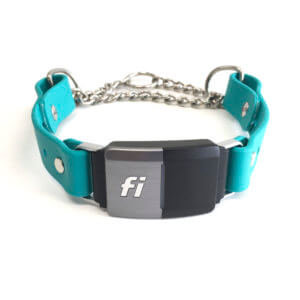 fi martingale dog collat teal biothane