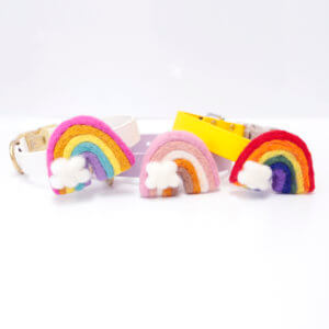 rainbow dog collar accessory pride dog