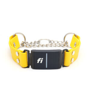 waterproof fi compatible chain martingales series 3 yellow