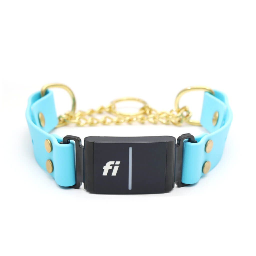 waterproof fi compatible chain martingales series 3