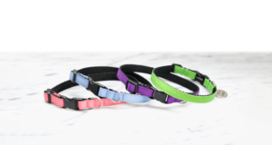 Breakaway Cat Collar grosgrain ribbon