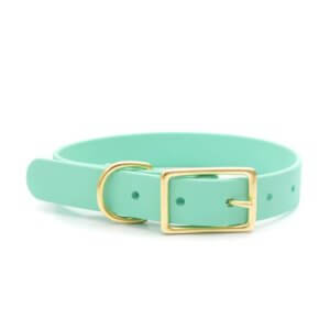 seafoam waterproof belt buckle dog collar biothane