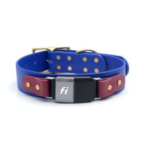 cobalt blue fi waterproof dog collar wide cobalt wine