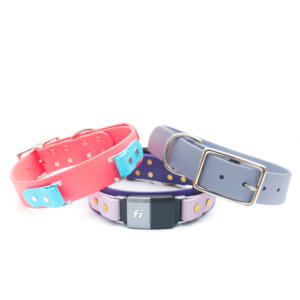 wide fi dog collar for big dogs greyhounds