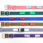 Fi Compatible Waterproof Dog Collar -- 1.5" + 1" Width with Optional Nameplate
