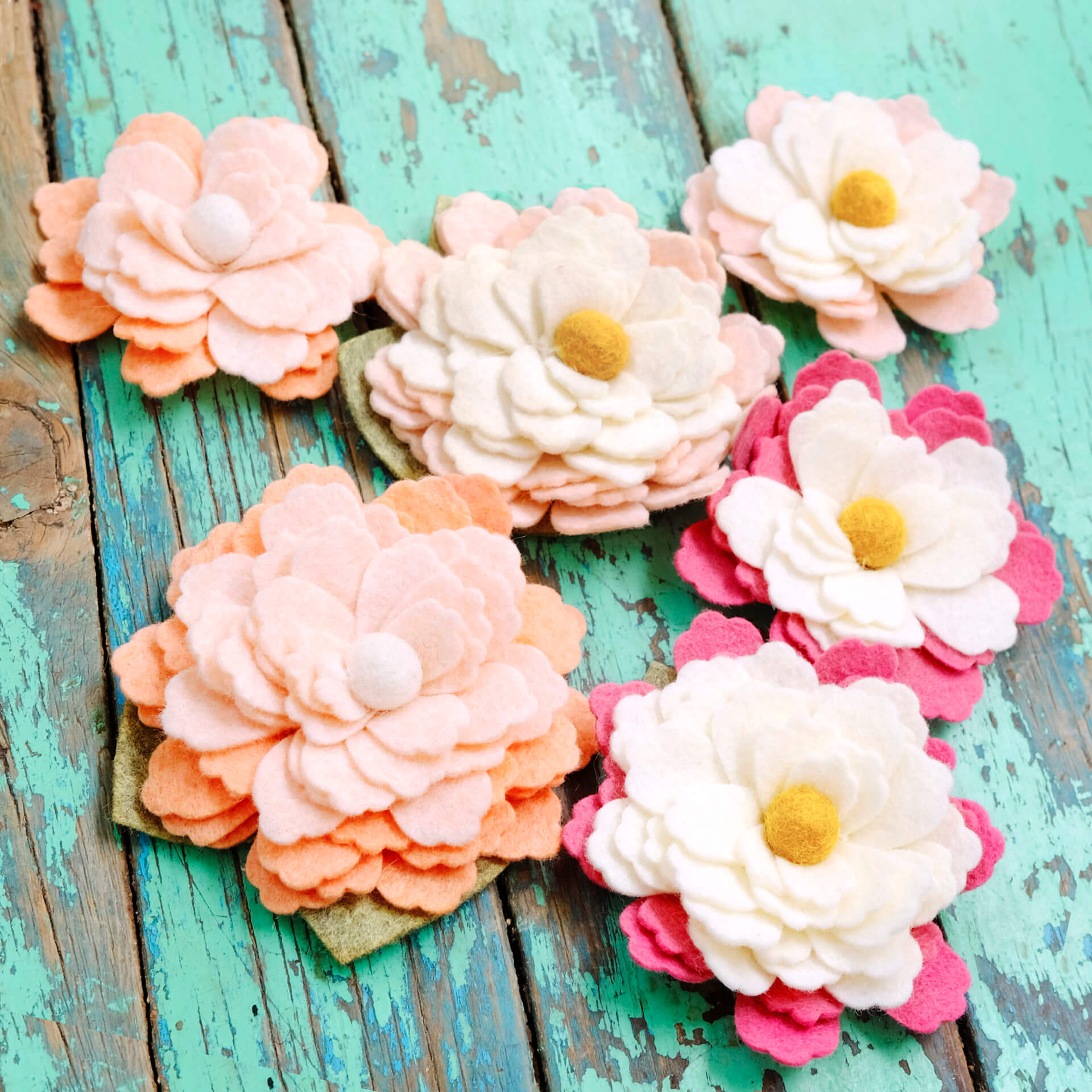 dog collar flower water lily group