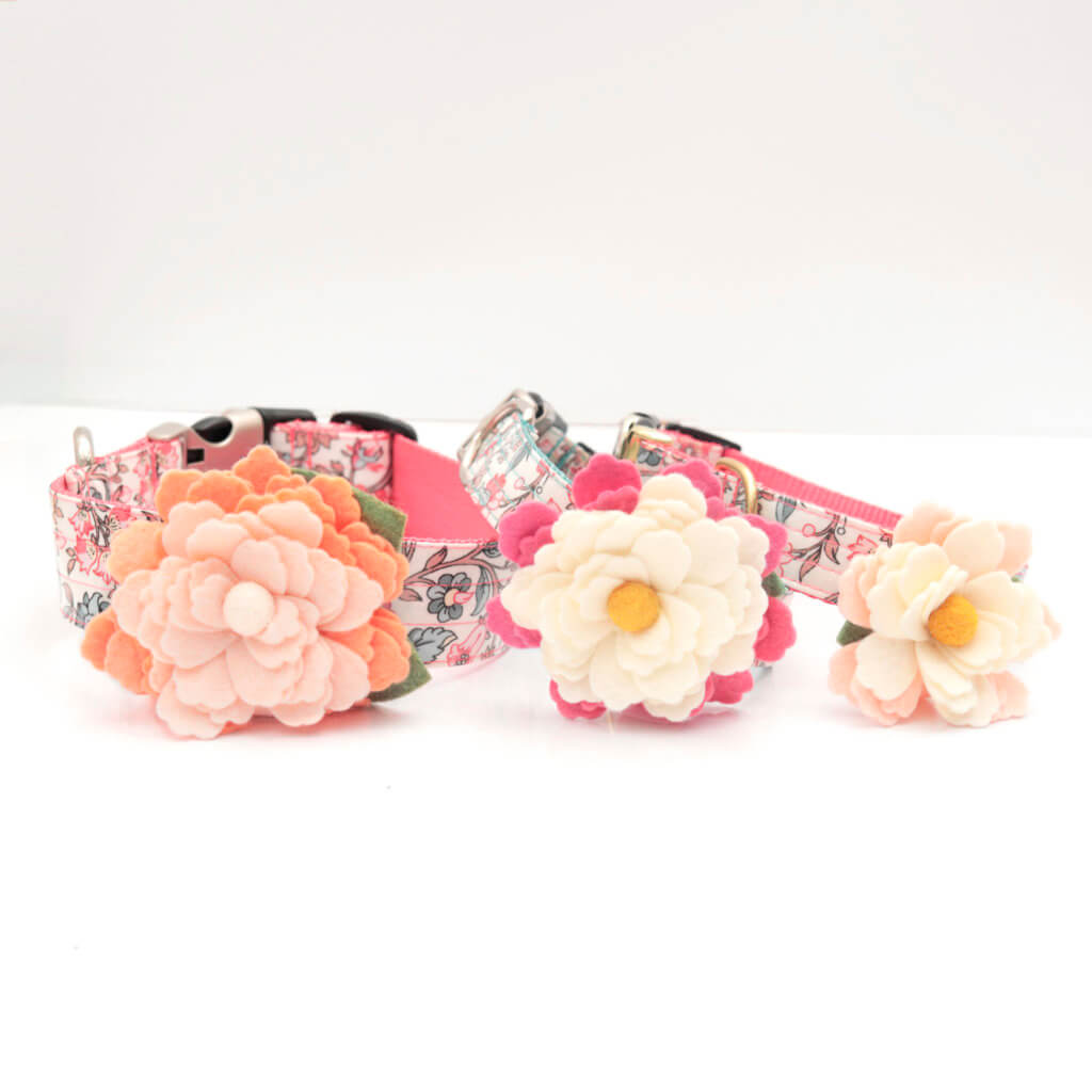 dog collar lily flowers