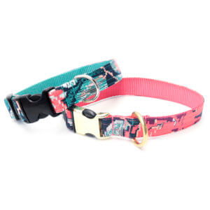 lacey dog collar not personalized