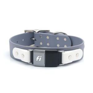 grey waterproof fi dog collar 1.5