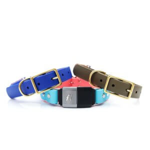 waterproof Fi Compatible dog collar