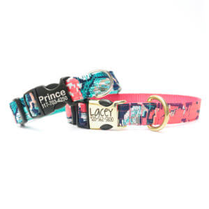 lacey pink and teal dog collar engraved