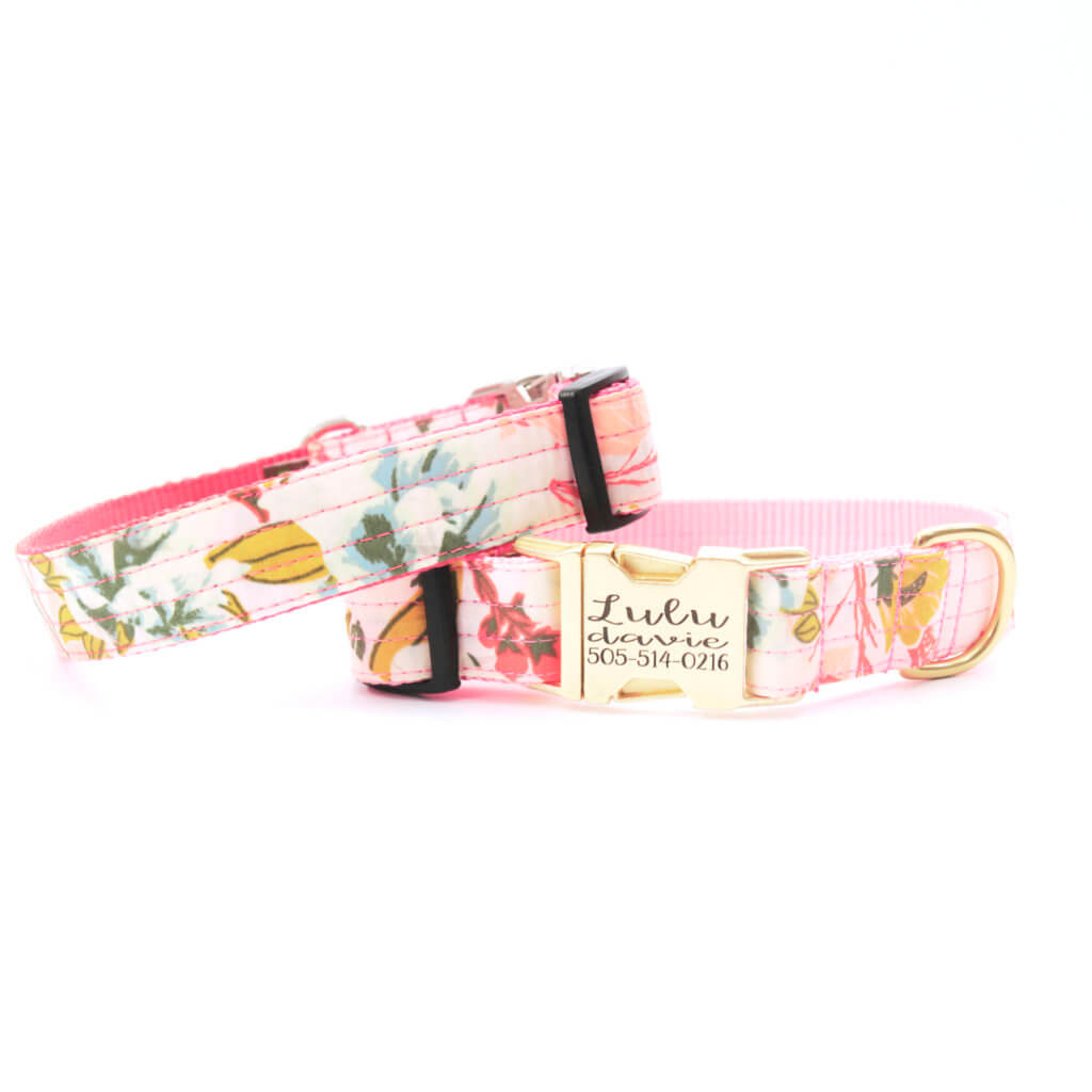 lulu feminine pink floral dog collar