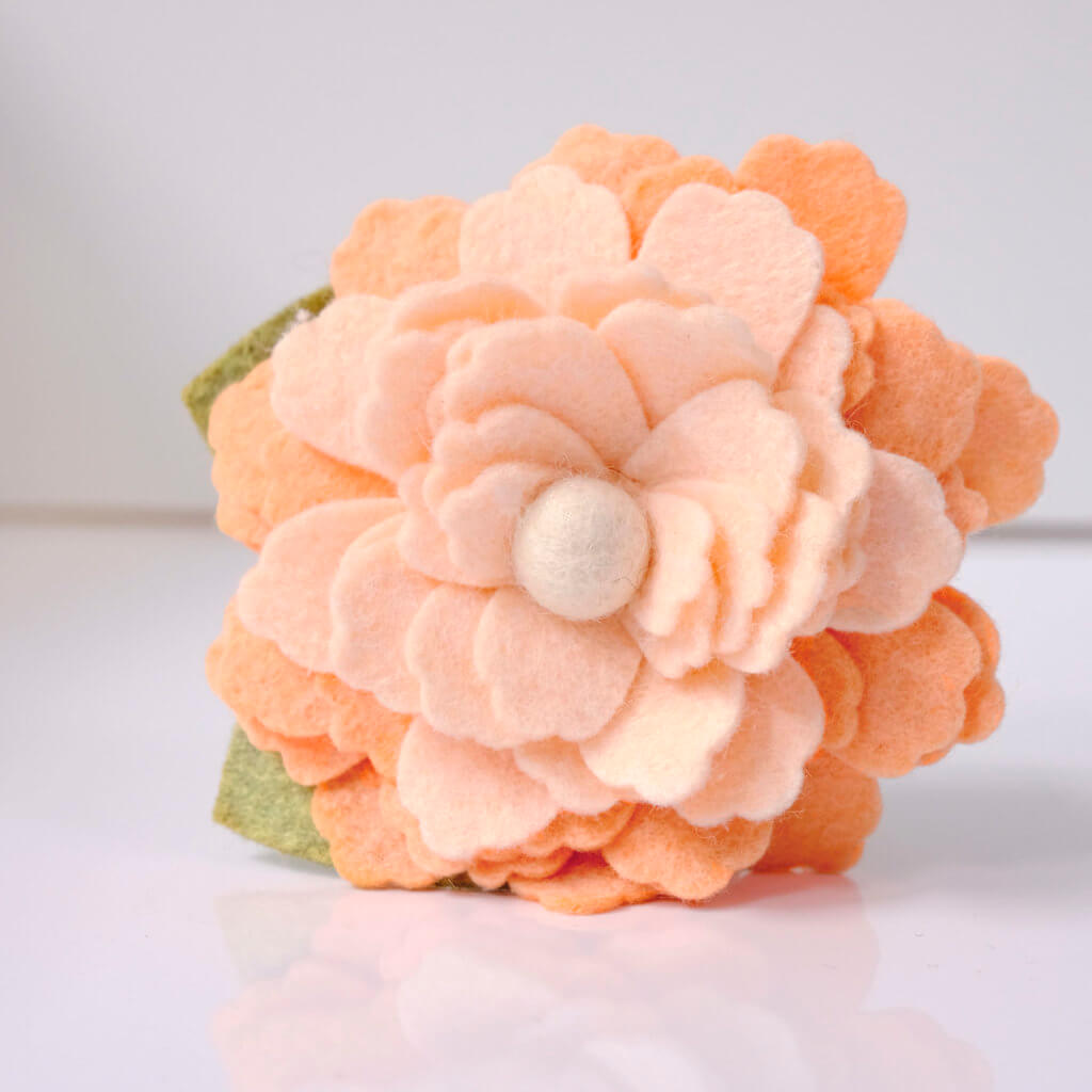 peach water lily dog collar flower