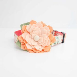 Peach Water Lily Dog Collar Flower