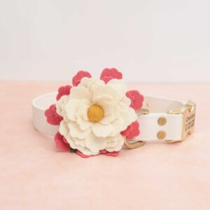 Pink Water Lily Dog Collar Flower