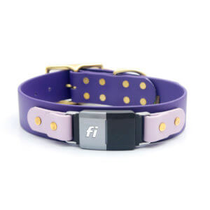 purple fi dog collar waterproof 1.5