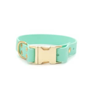 seafoam biothane dog collar gold buckle