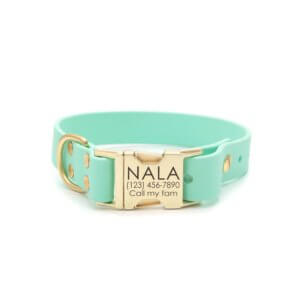 Seafoam biothane side release dog collar