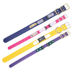 waterproof fi compatible belt buckle with table collars