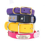 Fi Compatible Waterproof Dog Collar -- 1.5" + 1" Width with Optional Nameplate