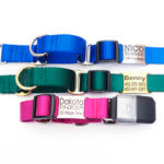 Fi Compatible Nylon Martingale Dog Collar - Optional Engraved Name Plate