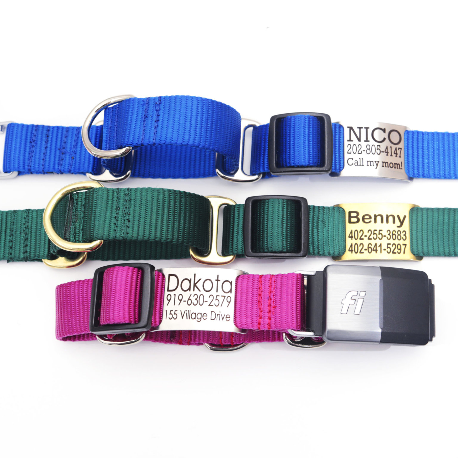Fi Compatible Collars & Bands Personalizable Mimi Green