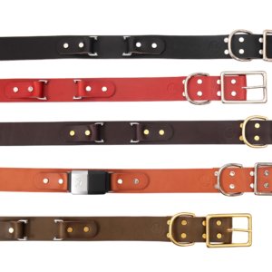 Wide Leather Fi Collar Group shot