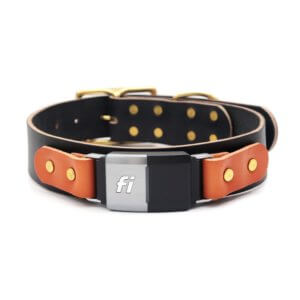 Wide Leather Fi Collar