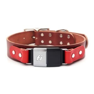 Wide Leather Fi Collar