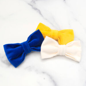 dog bowties for ukraine