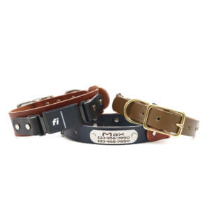fi compatible leather belt buckle collars (series 3)