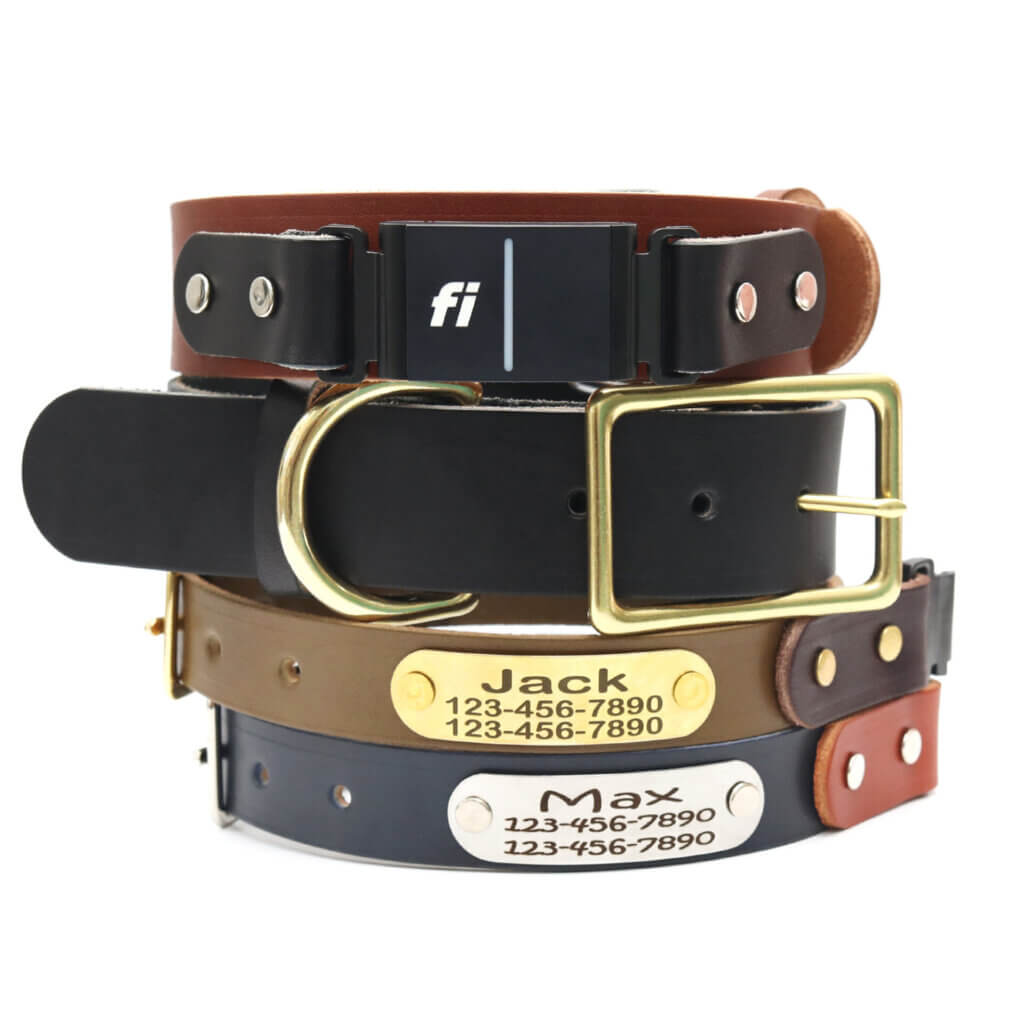 fi compatible leather belt buckle collars (series 3)