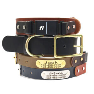 Fi Compatible Leather Dog Collar -- with Optional Nameplate