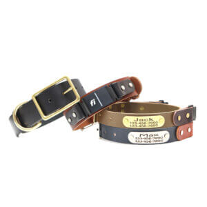 fi compatible leather belt buckle collars (series 3)