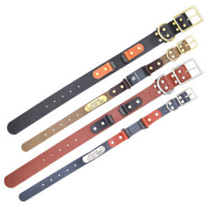 fi compatible leather belt buckle collars (series 3)