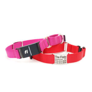 fi compatible nylon nameplate martingale collars (series 3)