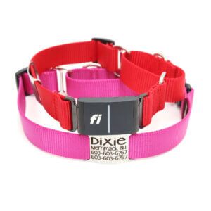 fi compatible nylon nameplate martingale collars (series 3)