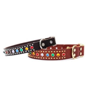 rainbow studded leather dog collar the bart