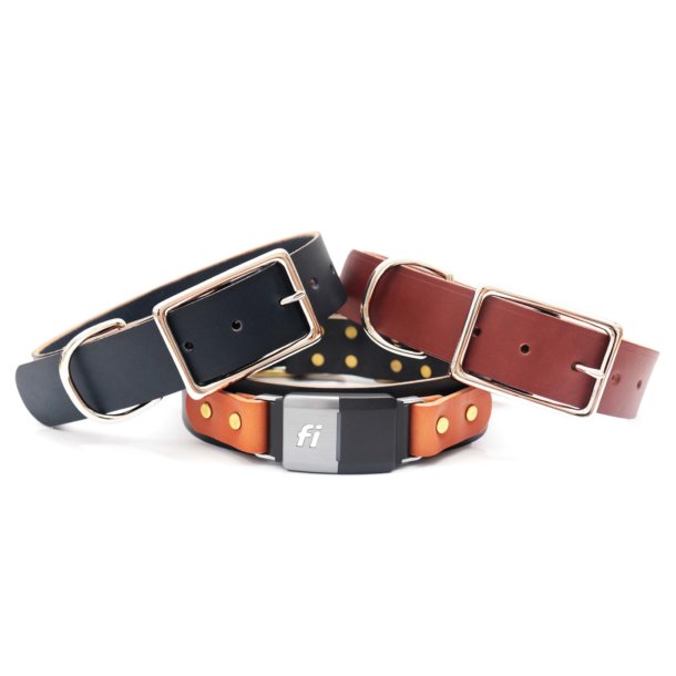 Fi Compatible Leather Dog Collar with Optional Nameplate Fi Wide