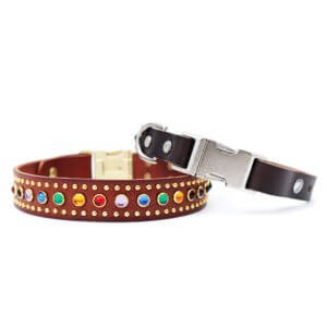 rainbow studded leather dog collar the bart