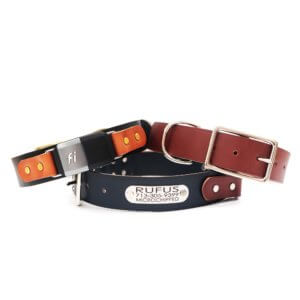 Wide Leather Fi Collar for Big Dogs