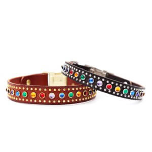rainbow studded leather dog collar the bart
