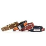 Fi Compatible Leather Dog Collar -- with Optional Nameplate