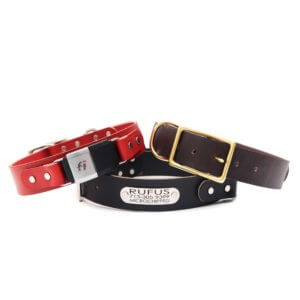 Wide Leather Fi Collar with Name Plate