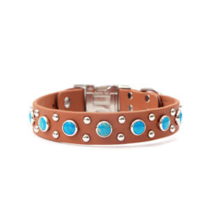 Mesa Turquoise Studded Biothane Dog Collar