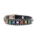 Rainbow Studded Leather Dog Collar — The ‘Bart’