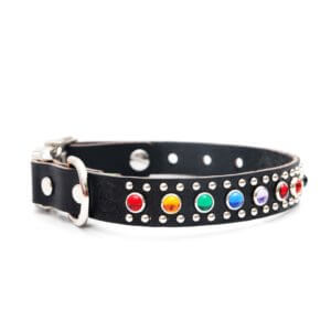 Bart multicolored Rainbow studded leather collar side